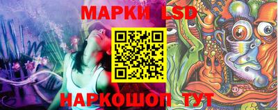 МДПВ Можга