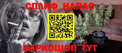 МДПВ Можга