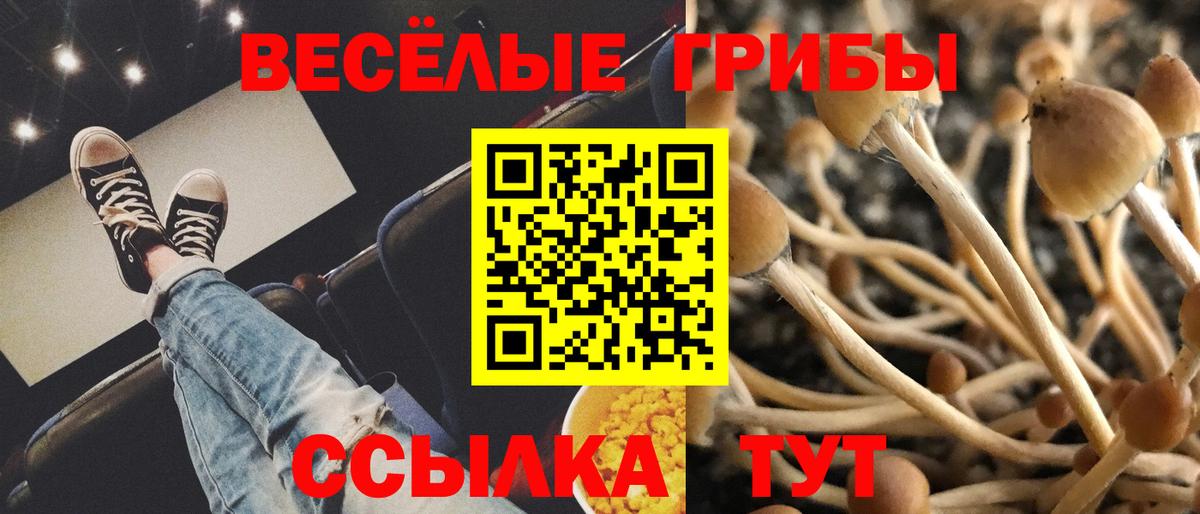Сыктывкар  Псилоцибиновые грибы ЛСД  Вход с VPN 